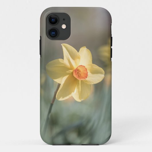 Gelbes Daffodil Nature Foto Case-Mate iPhone Hülle (Rückseite)