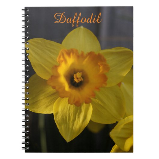 Gelbes Daffodil Notizblock (Vorderseite)