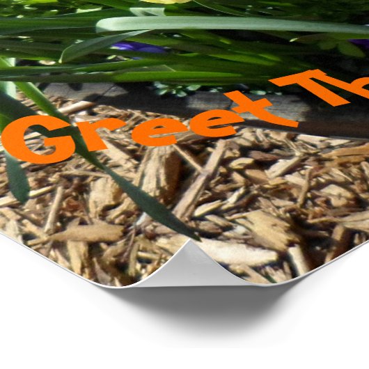 Gelbes Daffodil Poster (Ecke)