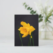Gelbes Daffodil Postkarte (Stehend Vorderseite)