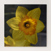 Gelbes Daffodil Puzzle (Horizontal)