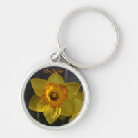 Gelbes Daffodil