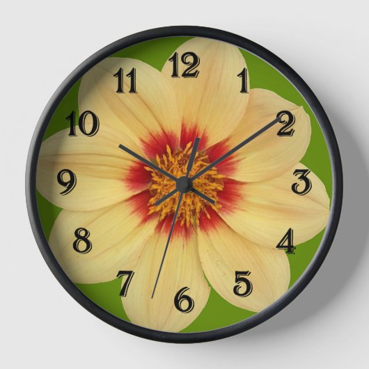 Gelbes Dahlia auf Grün mit schwarzen Zahlen Uhr (Vorderseite)