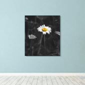 Gelbes Daisy Schwarz-Weiß-Blume-Foto Leinwanddruck (Insitu (Holzboden))