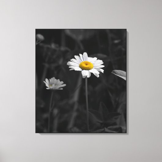 Gelbes Daisy Schwarz-Weiß-Blume-Foto Leinwanddruck (Vorderseite)