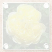 Gelbes Englisch Rose Foto Square Glass Untersetzer (Rückseite)