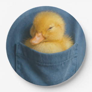 Gelbes Entlein in einer T-Shirt-Tasche Pappteller
