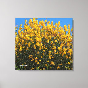 Gelbes Falsches Indigofisch / Wildes Indigofisch / Leinwanddruck