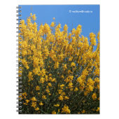 Gelbes Falsches Indigofisch / Wildes Indigofisch / Notizblock (Vorderseite)