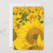 Gelbes Feld der Sonnenblumen Hochzeit Einladung (Rückseite)