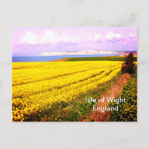Gelbes Feld und weiße Felsen der Isle of Wight Postkarte