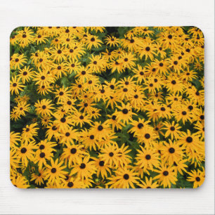 Gelbes Feld von Daisies - Daisy Mousepad