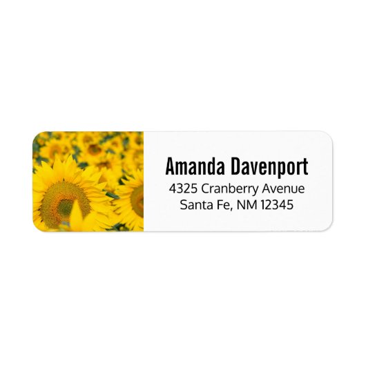 Gelbes Feld von Sonnenblumen Fotografie (Vorne)