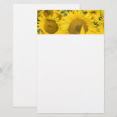 Gelbes Feld von Sonnenblumen Fotografie Briefpapier (Vorne/Hinten)