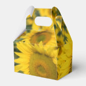 Gelbes Feld von Sonnenblumen Fotografie Geschenkschachtel (Rückseite)