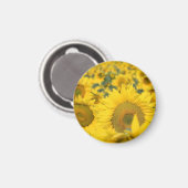 Gelbes Feld von Sonnenblumen Fotografie Magnet (Vorderseite/Rückseite)