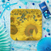 Gelbes Feld von Sonnenblumen Fotografie Pappteller (Party)