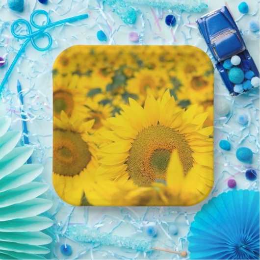 Gelbes Feld von Sonnenblumen Fotografie Pappteller (Party)