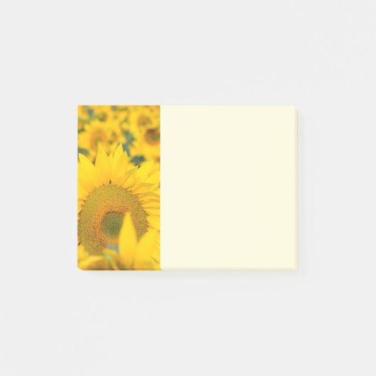 Gelbes Feld von Sonnenblumen Fotografie Post-it Klebezettel (Vorderseite)