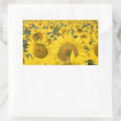 Gelbes Feld von Sonnenblumen Fotografie Rechteckiger Aufkleber (Tasche)