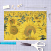 Gelbes Feld von Sonnenblumen Fotografie Seidenpapier (Handwerk)