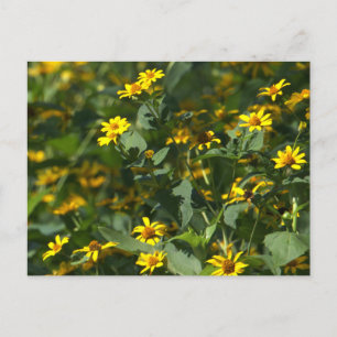 Gelbes Foto Postkarte