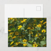 Gelbes Foto Postkarte (Vorne/Hinten)