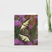 Gelbes Frack (Vorderseite)