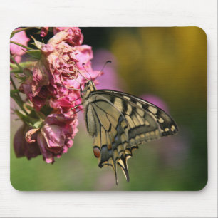 Gelbes Frack Butterfly Mousepad