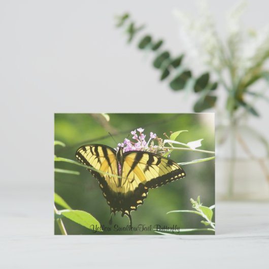 Gelbes Frack Butterfly Postkarte (Stehend Vorderseite)