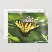 Gelbes Frack Butterfly Postkarte (Vorne/Hinten)