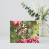 Gelbes Frack Butterfly Postkarte (Stehend Vorderseite)