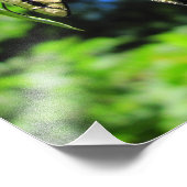 Gelbes Frack ~ Foto (Ecke)