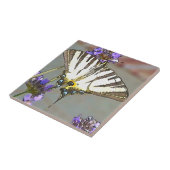 Gelbes Frack für Lilac-Blume Schwarz O Fliese (Seite)