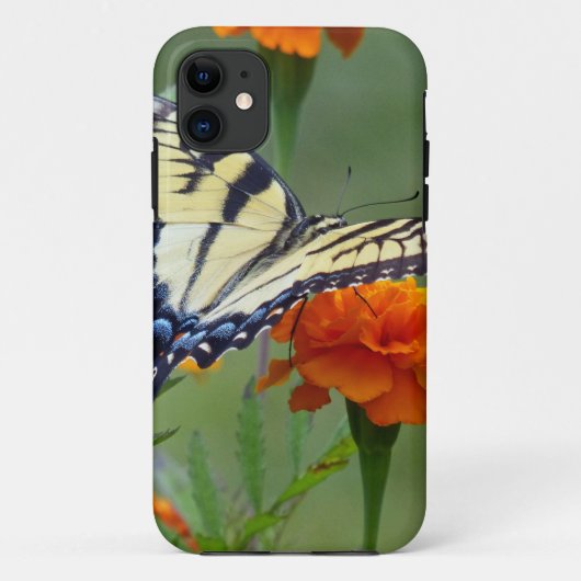 Gelbes Frack Ost-Tiger Case-Mate iPhone Hülle (Rückseite)