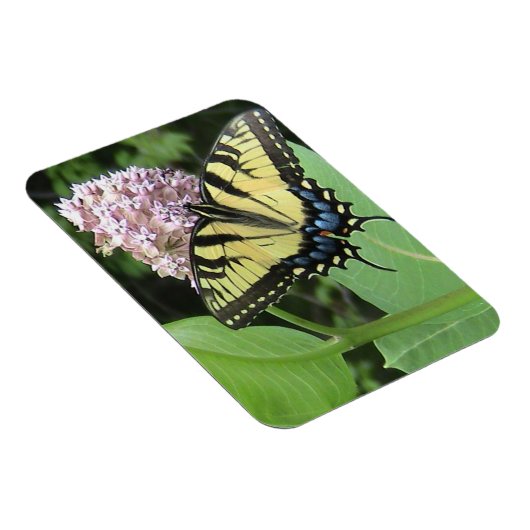 Gelbes Frack-Schmetterling Flexi Magnet (Rechte Seite)