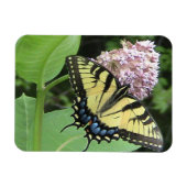 Gelbes Frack-Schmetterling Flexi Magnet (Horizontal)
