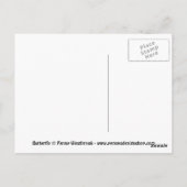 Gelbes Frack Schmetterling Postkarte (Rückseite)