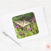 Gelbes Frack Schmetterlingskleber Quadratischer Aufkleber (Umschlag)