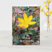 Gelbes Frühlings-Crocus-Beileid Karte (Gelbe Blume)