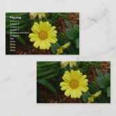 Gelbes Gänseblümchen Visitenkarte (Vorne/Hinten)