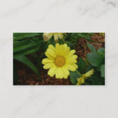 Gelbes Gänseblümchen Visitenkarte (Rückseite)