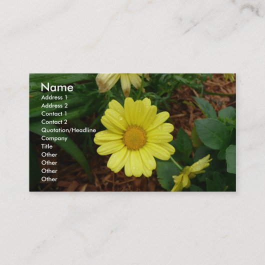 Gelbes Gänseblümchen Visitenkarte (Vorderseite)