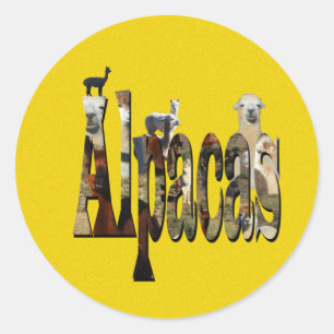 Gelbes geflecktes Alpaca-Design, Runder Aufkleber