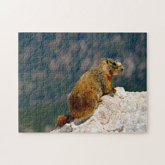 Gelbes Gelbbblies Marmot Utah. Puzzle (Horizontal)