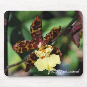 Gelbes Gepunktetes Orchid aus Gardenfest 2011 Mousepad
