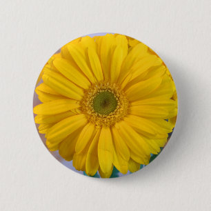Gelbes Gerbera-Gänseblümchen Button