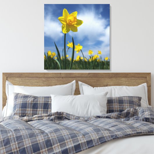 Gelbes Geruchsfeld auf blauem Himmel 24x24 Leinwanddruck (Insitu (Schlafzimmer))