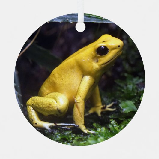 Gelbes Gift Dart Frog Metal Ornament (Vorderseite)