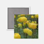 Gelbes Gloadine Blumenmagnet Magnet (Vorderseite/Rückseite)